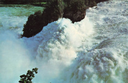 SUISSE - Rheinfall - Orienterung über Den Rheinfall - Colorisé - Carte Postale - Neuhausen Am Rheinfall