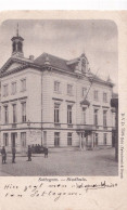 Sottegem - Stadhuis - Zottegem