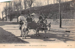 MONTMORENCY - Une Promenade à L'Hermitage - Très Bon état - Montmorency