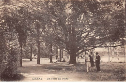 LEZAY - Un Coin Du Parc - Très Bon état - Autres & Non Classés