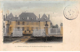 Chateau De PRINCAY - Cne De Brieuil Sur Chizé - Très Bon état - Other & Unclassified