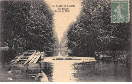 Marais Du Vanneau - Barrage Du Chail - Très Bon état - Sonstige & Ohne Zuordnung