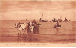 CAYEUX SUR MER - Le Débarquement Du Poisson - Très Bon état - Cayeux Sur Mer