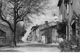 TEILLET - Avenue Principale - Très Bon état - Autres & Non Classés