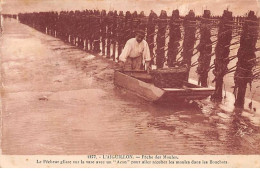 L'AIGUILLON - Pêche Des Moules - Très Bon état - Autres & Non Classés