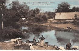 FONTENAY LE COMTE - Joli Paysage De L'Ile Des Horts - Très Bon état - Fontenay Le Comte