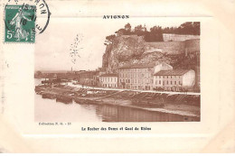 AVIGNON - Le Rocher Des Doms Et Quai Du Rhône - Très Bon état - Avignon