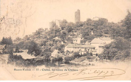 CHALUS - Les Ruines Du Château - Très Bon état - Chalus