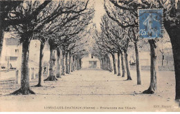 LUSSAC LES CHATEAUX - Promenade Des Tilleuls - Très Bon état - Lussac Les Chateaux