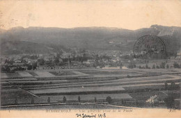 REMIREMONT - Vue Générale Prise De La Piotté - Très Bon état - Remiremont