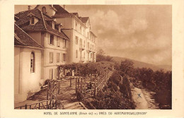 Hotel De Sainte Anne Près Du HARTMANNSWILLERKOPF - Très Bon état - Other & Unclassified
