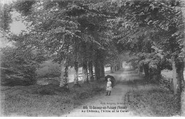 SAINT SAUVEUR EN PUISAYE - Au Château, L'Allée Et Le Canal - Très Bon état - Saint Sauveur En Puisaye