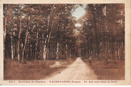 VAUDEVANNE - Un Joli Coin Dans La Forêt - Très Bon état - Andere & Zonder Classificatie