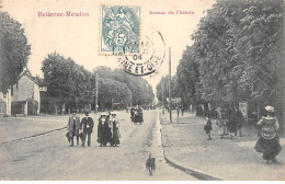 BELLEVUE MEUDON - Avenue Du Château - Très Bon état - Otros & Sin Clasificación