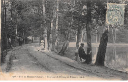 Bois De MEUDON CLAMART - Pourtour De L'Etang De Trivaux - Très Bon état - Meudon