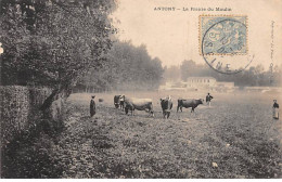 ANTONY - La Prairie Du Moulin - Très Bon état - Antony