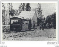 PALISEUL ..-- L'Arrêt Du TRAM . !!! Reproduction !!! - Paliseul