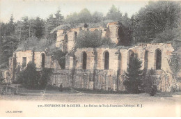 Les Ruines De TROIS FONTAINES L'ABBAYE - Très Bon état - Sonstige & Ohne Zuordnung