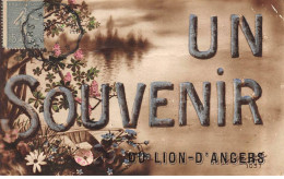 Souvenir Du LION D'ANGERS - Très Bon état - Other & Unclassified