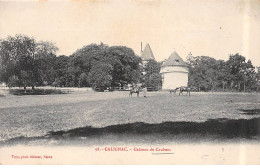 CALIGNAC - Château De Caubeos - Très Bon état - Other & Unclassified