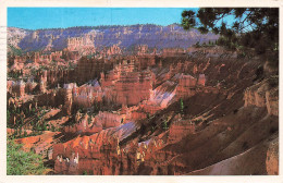 ETATS UNIS - Arizona - Overall View From Sinrise Poit Bryce Canyon National Park - Carte Postale - Andere & Zonder Classificatie