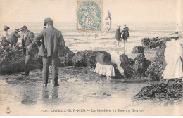 CAYEUX SUR MER - La Moulière En Face Du Brigton - Très Bon état - Cayeux Sur Mer