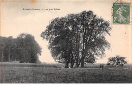 ARREST - Les Gros Arbres - état - Autres & Non Classés