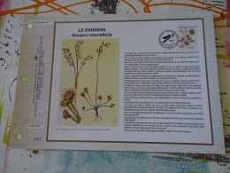 Tirage Limité Classeur Timbre Premier Jour  C.E.F Le Drosera Rotundifolia1992 - Documenten Van De Post