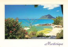 FRANCE - Martinique - Vue Sur Le Diamant - Colorisé - Carte Postale - Andere & Zonder Classificatie