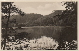 Buckow, Märkische Schweiz, Kleiner Tornowsee Gl1930 #G1617 - Andere & Zonder Classificatie