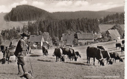 Altenau, Oberharz, "Damenkapelle" Ngl #G2413 - Autres & Non Classés