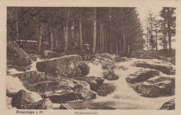 Braunlage/Oberharz, Bodewasserfall Gl1919 #G2076 - Autres & Non Classés