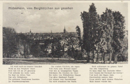 Hildesheim, Vom Berghölzchen Gesehen Gl1940 #G3241 - Other & Unclassified