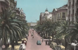 ORAN, BOULEVARD GALLIENI, VOITURES ANNEE 60 COULEUR  REF 16508 - Oran