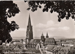 Freiburg I.Breisgau, Münster Vom Schloßberg Gl1960 #G4221 - Sonstige & Ohne Zuordnung