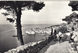 Dubrovnik, Panorama Glum 1960? #G3998 - Croacia