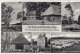 Hermannsburg (Lüneburger Heide), Mehrbildkarte Gl1965? #G3206 - Andere & Zonder Classificatie