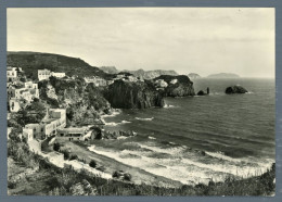 °°° Cartolina - Ponza Panorama Della Rada - Viaggiata °°° - Latina