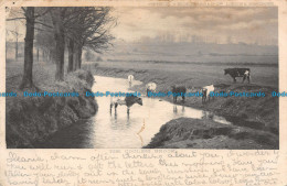R126570 The Cooling Brook. Hildesheimer. 1906 - World