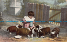 R126573 Old Postcard. Child And Puppies. Hartmann. 1905 - World
