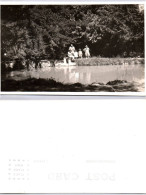 Carte Photo - Famille Au Bord D'un Lac - Fotos