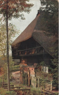 CARTE PHOTO - Maison Traditionnelle Avec Un Toit De Chaume Dans Les Bois  - Colorisé - Carte Postale - Photographs