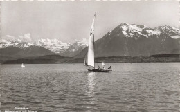 SUISSE - Thun - Thunersee - Blüemlisalp Mit Niesen - Carte Postale - Thun