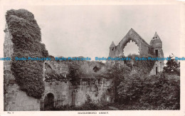 R126824 Haughmond Abbey. 1913 - World