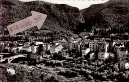 AMELIE-LES-BAINS     ( PYRENEES ORIENTALES)  VUE SUR LE CENTRE . VALLEE DU TECH - Amélie-les-Bains-Palalda