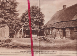 Hoeve Te Nieuw Schoonebeek - Orig. Knipsel Coupure Tijdschrift Magazine - 1924 - Non Classés