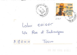 INDRE ET LOIRE 37  -  PARCAY MESLAY    - CACHET RECETTE RA 9   - 2006 - TIMBRE N° 3903  TARIF 1 3 05 - Handstempel