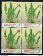 Nepal - 2017 - Flora - Ferns Of Nepal   - Nephrolepis Cordifolia  -  Block Of 4 - MNH. ( OL 17/07/2022) - Nepal