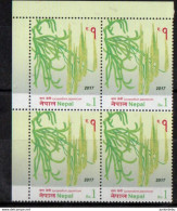 Nepal - 2017 - Flora - Ferns Of Nepal   - Lycopodium Japonicum -  Block Of 4 - MNH. - Népal