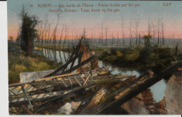 Albert Les Bords De L’Ancre Arbres Brûlés Par Les Gaz - Albert